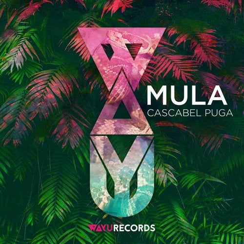 Cover of Mula - Cascabel Puga