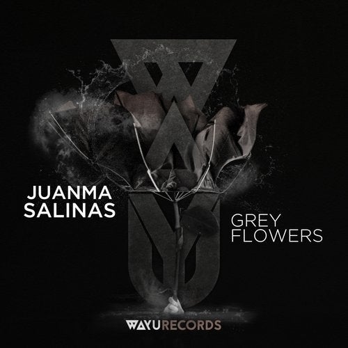 Cover of Juanma Salinas - Grey Flowers