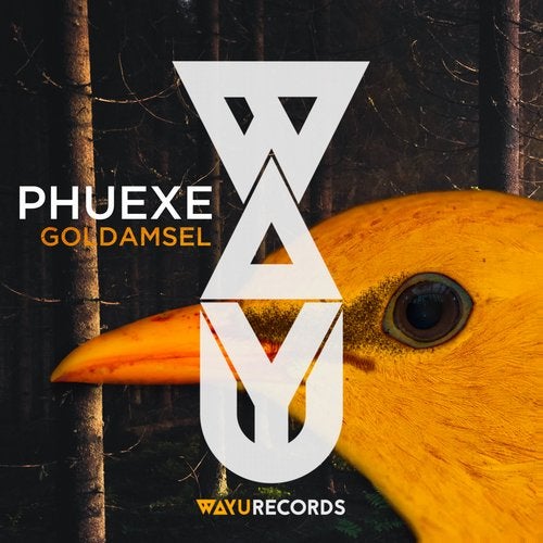Cover of Phuexe - Goldamsel