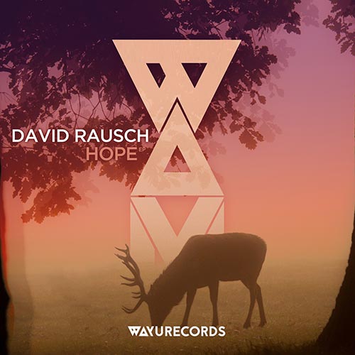 Cover of David Rausch - Hope [EP]