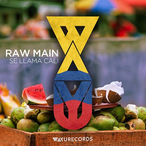 Cover of RAW - Main Se Llama Cali [Single]